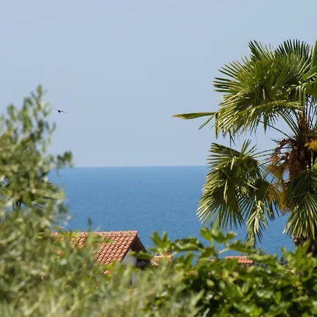 Διαμέρισμα Palmic Πόρετς